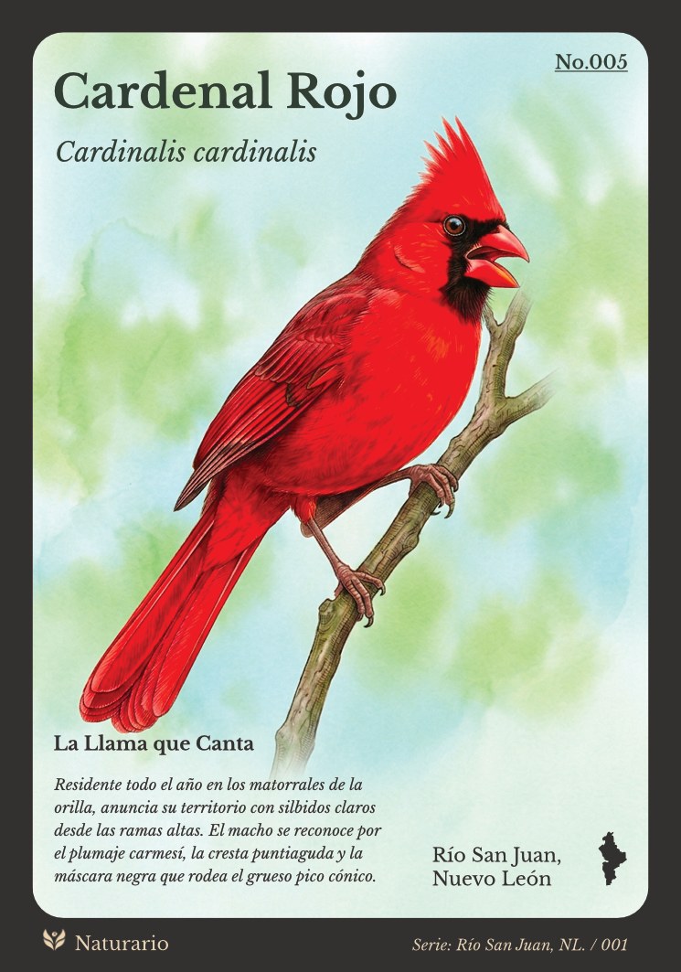 Tarjeta No.005 Cardenal Rojo